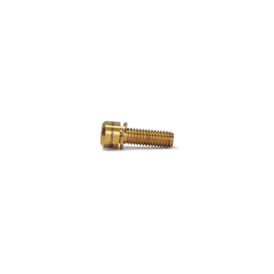 Tornillo M5x17mm (X1 Unidad)