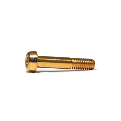 Tornillo M5x25mm torx (Sujeción de manetas SRAM)