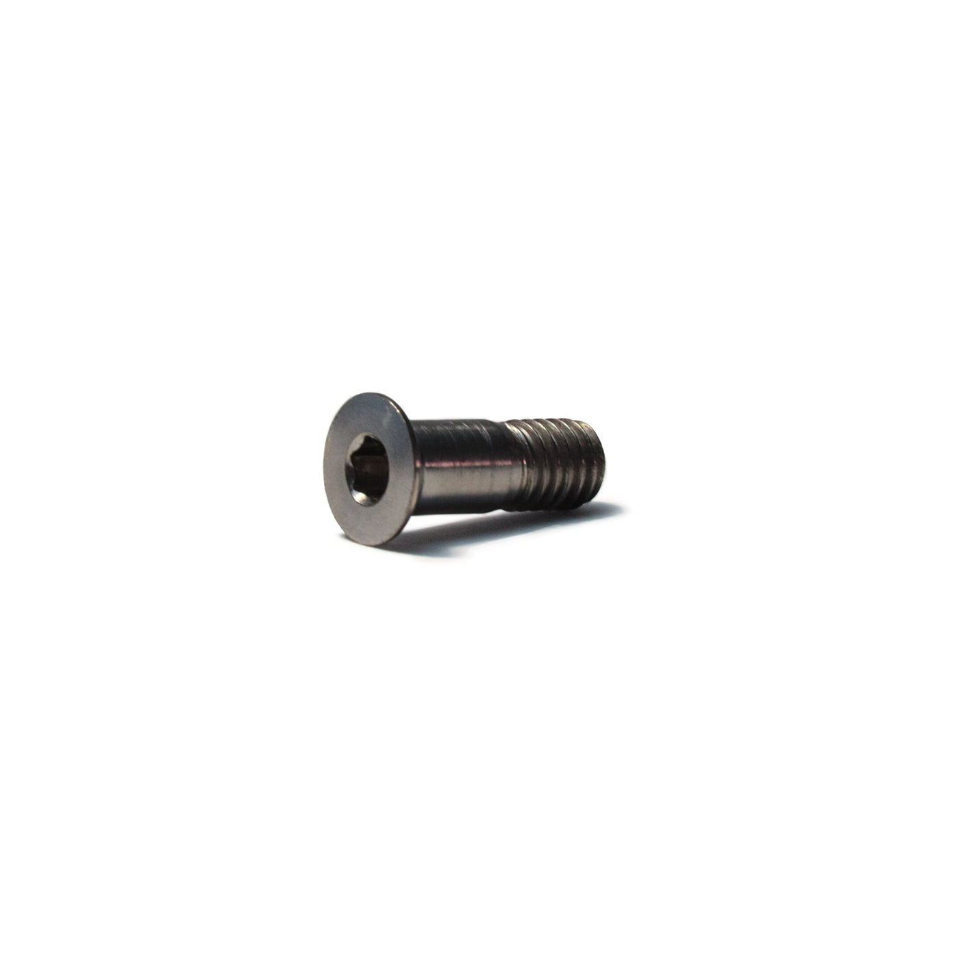 Tornillo M5x14mm (X2 Unidades)