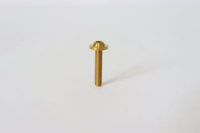 Tornillo M5x25mm button